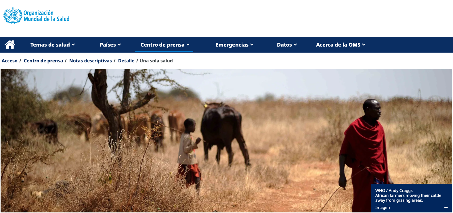 Captura de pantalla 2025-04-11 a las 12.42.24